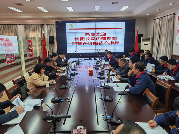集團(tuán)公司到公司開展內(nèi)控自評檢查工作